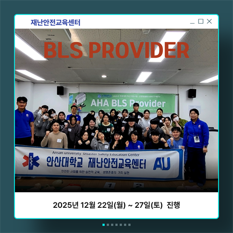 BLS Provider 외부 교육